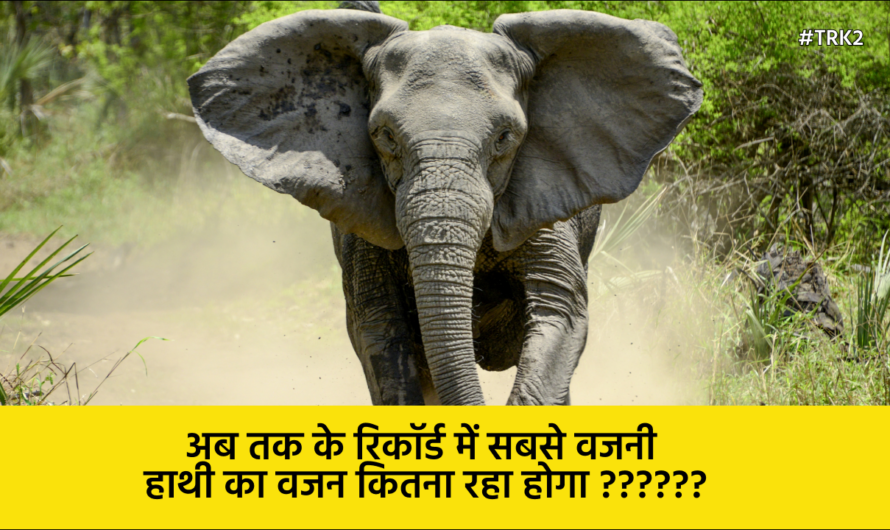 Amazing facts about Elephants in hindi, ऐसे फैक्ट्स जो 95% लोग नहीं जानते होंगे