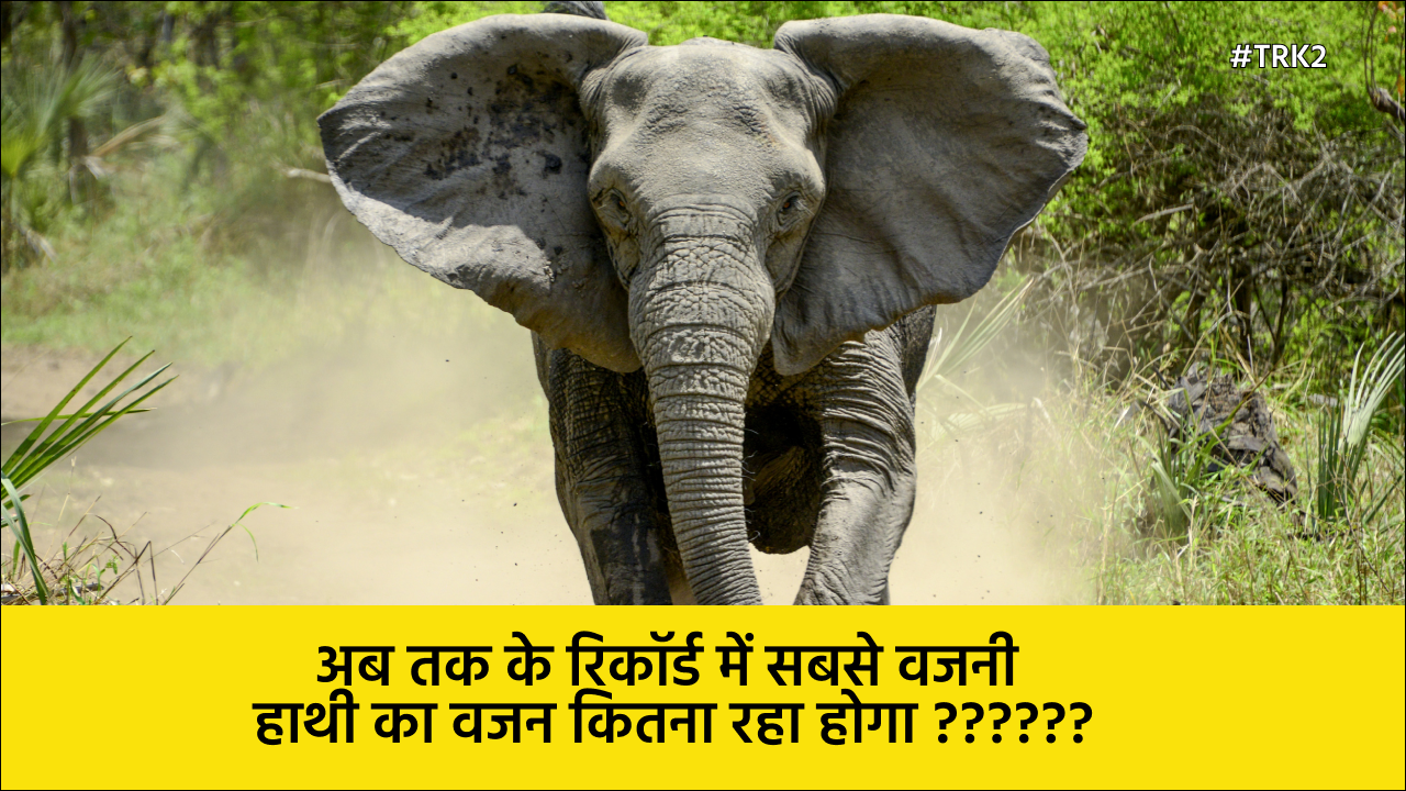 amazing facts about elephants in hindi